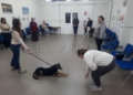 WhatsApp Image 2024 01 22 at 20.35.34 4 La Ciudad lleva a cabo un programa de terapia asistida con animales