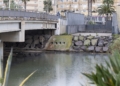 a628b7ac e38f 4395 8630 c03d5c0e91fa Guelaya denuncia el vertido de aguas fecales en la desembocadura del río que causa la muerte de cientos de cangrejos