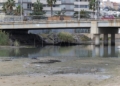 e50ff6f4 2da3 4a4b b854 663548437ec6 Guelaya denuncia el vertido de aguas fecales en la desembocadura del río que causa la muerte de cientos de cangrejos