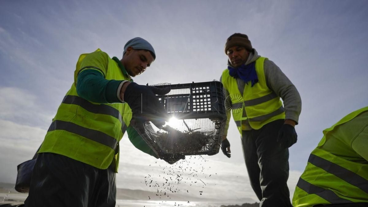 Tareas de limpieza de zonas afectadas por la contaminación de pellets de plástico, el pasado 15 de enero en la playa de Nemiña, en Muxía, Galicia.