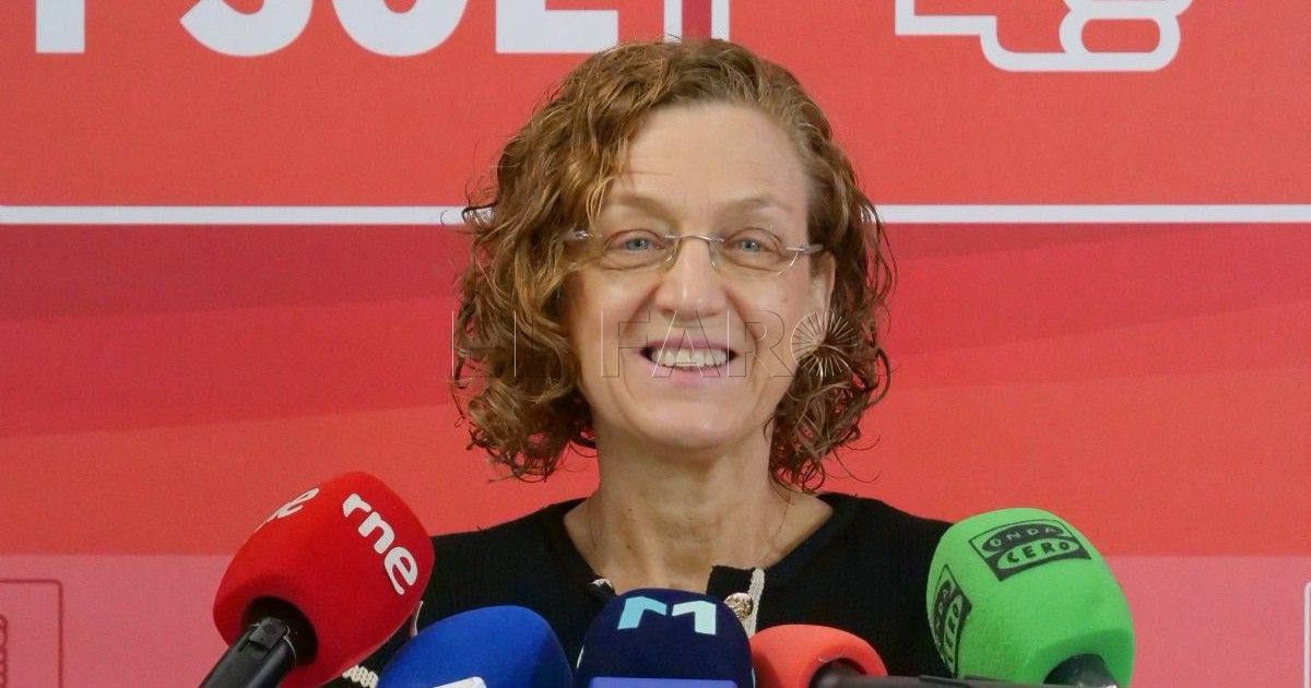 Rojas: “El PP, que desmanteló el Estado del Bienestar, es el que más desigualdad ha generado”