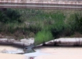 rio de oro Guelaya denuncia los vertidos de aguas fecales en la desembocadura del río de Oro