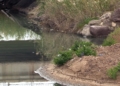 rio de oro 2 Guelaya denuncia los vertidos de aguas fecales en la desembocadura del río de Oro