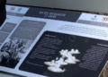 24 La exposición en memoria de las víctimas del Holocausto, una muestra necesaria