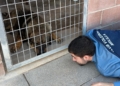 424768263 18330870952129253 8496571278668169186 n El CV Melilla visita la Protectora