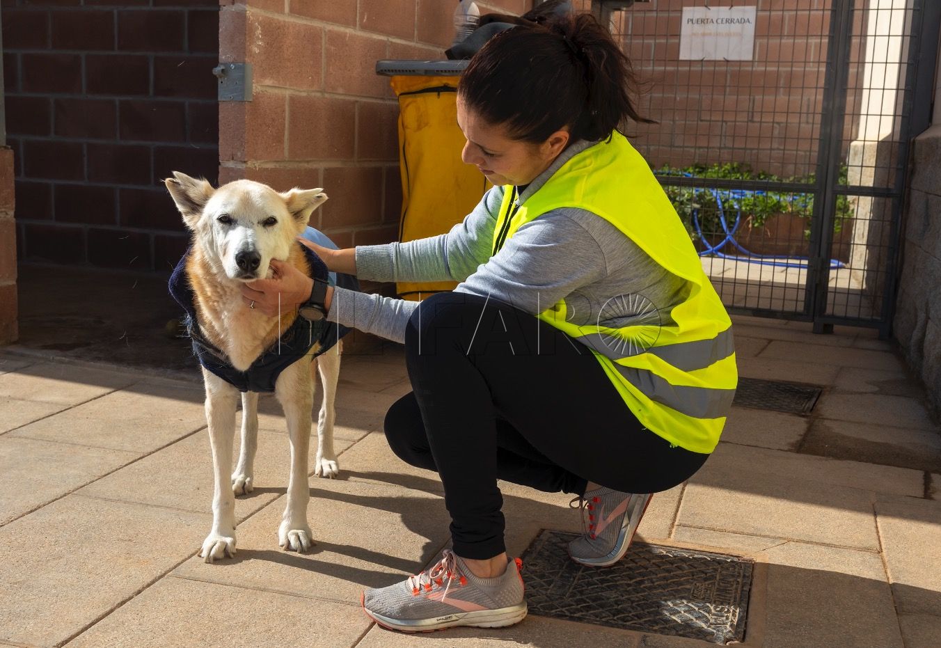 La Protectora de Animales organiza su V Caminata Canina