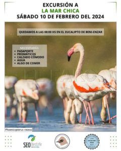 WhatsApp Image 2024 02 06 at 18.12.50 1 SEO Birdlife Melilla organiza una excursión a la Mar Chica para el sábado 17 de febrero