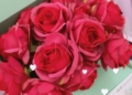 WhatsApp Image 2024 02 13 at 18.34.58 Melilla se prepara para celebrar San Valentín