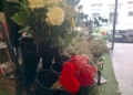 WhatsApp Image 2024 02 14 at 12.52.26 Floristerías llenas en Melilla este San Valentín