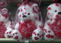 osos san valentin Floristerías llenas en Melilla este San Valentín