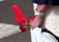 regalo san valentin Floristerías llenas en Melilla este San Valentín