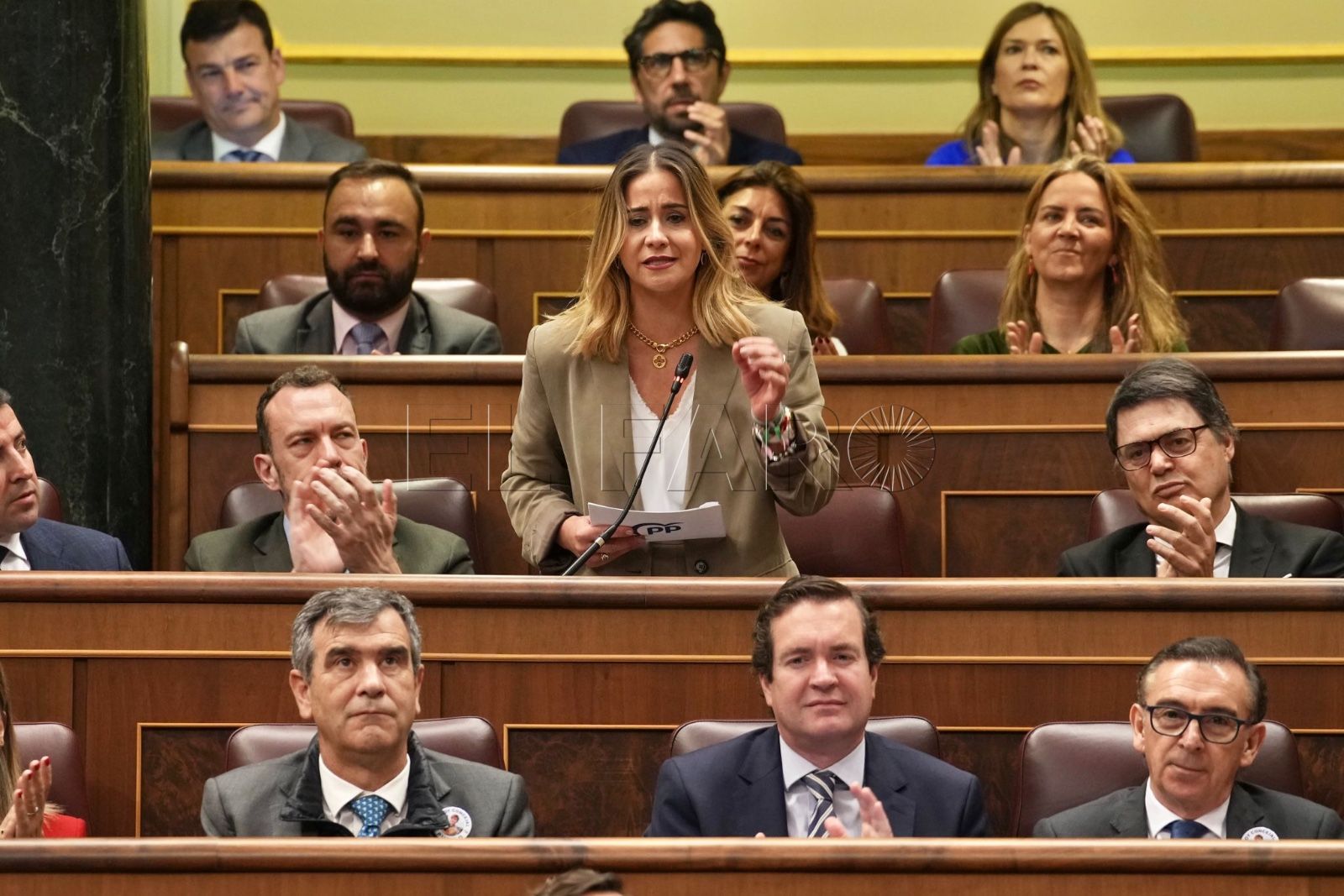 Acedo dice que el Gobierno del PSOE es "una banda acorralada por la corrupción"