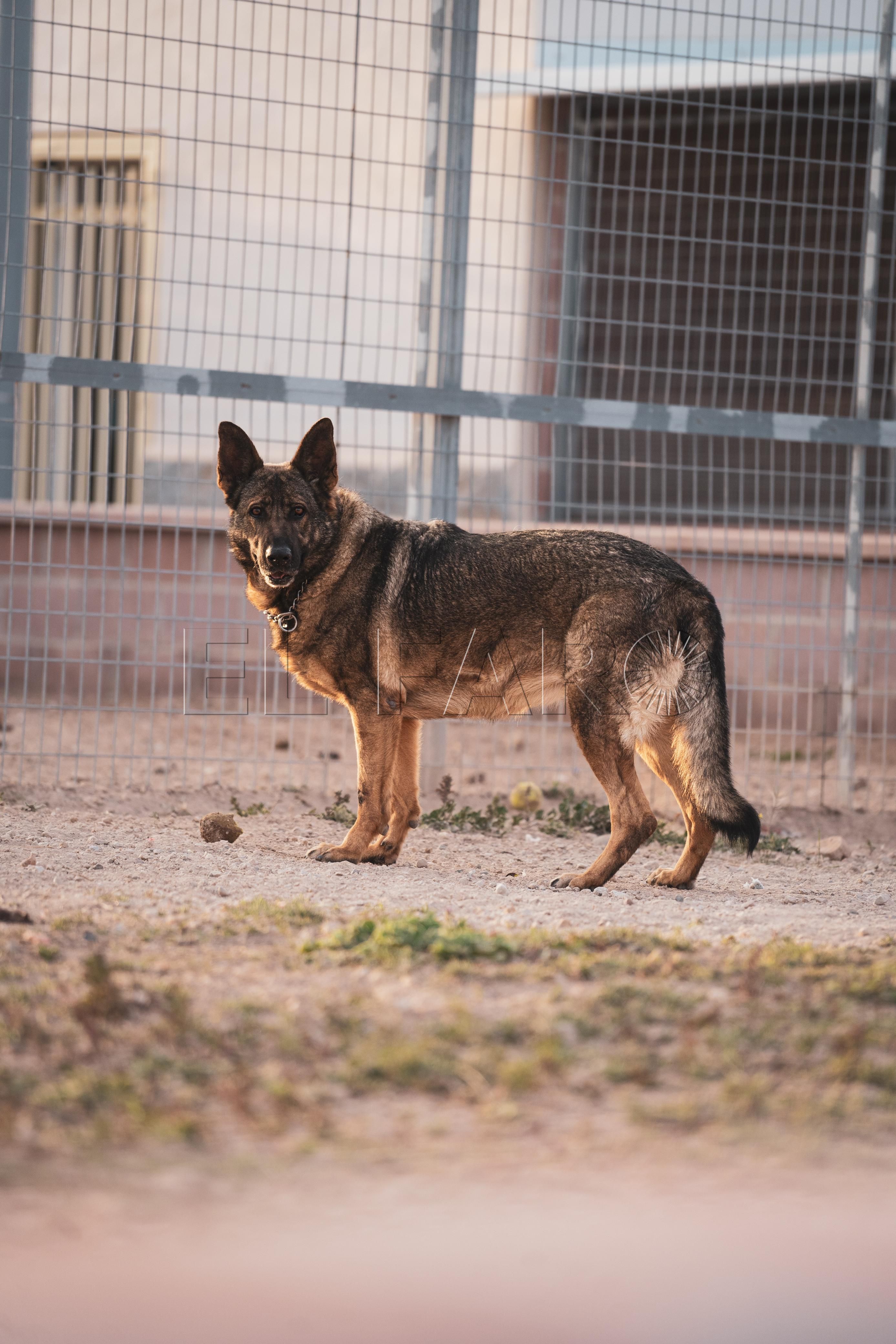 3 En busca de un hogar: Everest