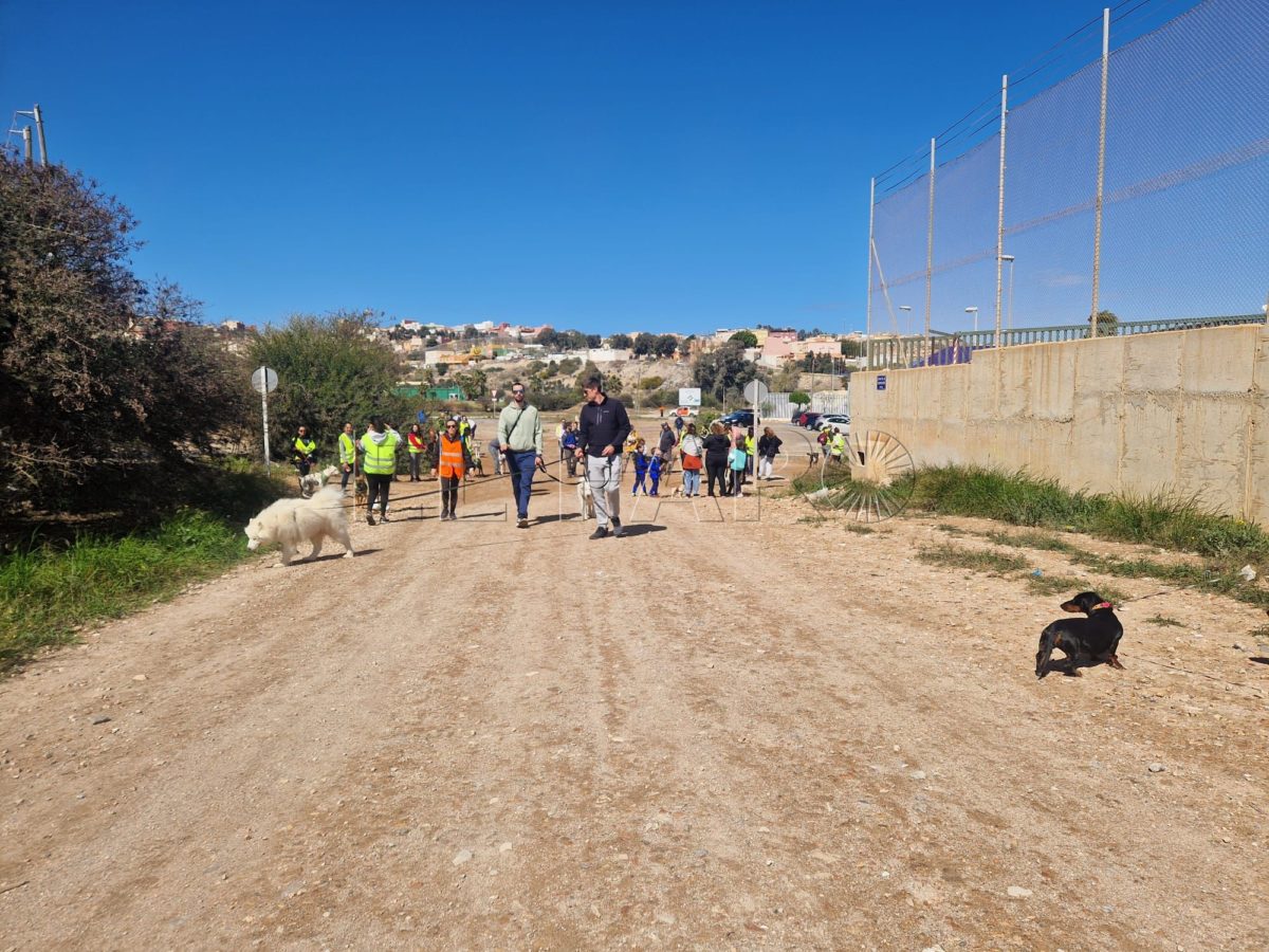 653322dc 645d 446b 9573 1493ed0a5a28 e1710090798817 La Caminata Canina llega a su quinta edición con el fin de dar visibilidad a la Protectora