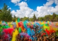 Foto Holi1 La Comunidad Hindú pospone la celebración de Holi hasta después de Semana Santa