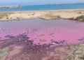 WhatsApp Image 2024 03 07 at 14.09.31 Una explosión bacteriana tiñe de rosa la desembocadura del río de Oro