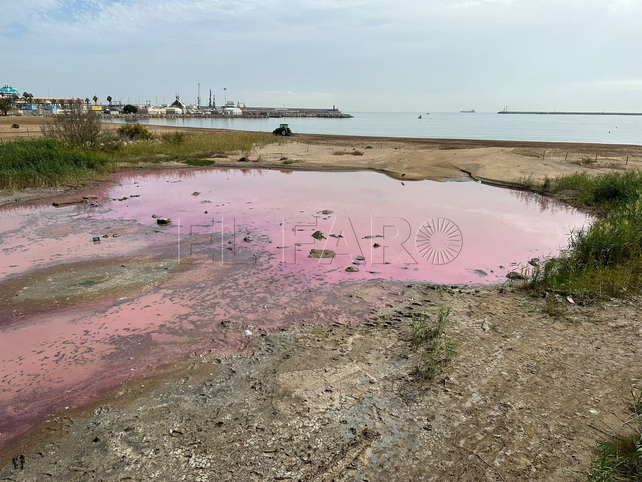 WhatsApp Image 2024 03 07 at 16.16.57 1 Una explosión bacteriana tiñe de rosa la desembocadura del río de Oro