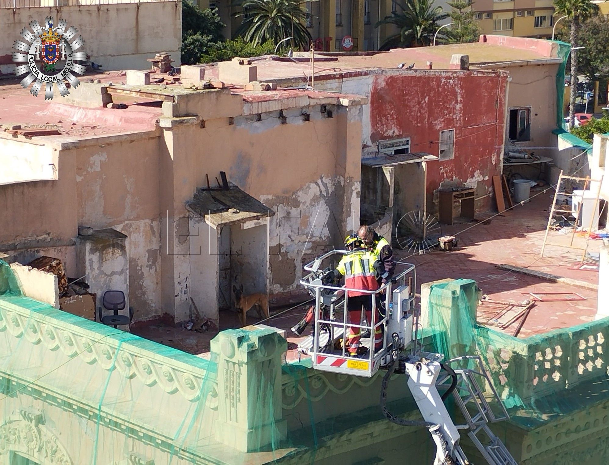 Rescatado un perro abandonado de la azotea de un edificio deshabitado