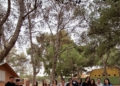 40896310 b232 41f3 9400 1a79bdb6e37a El Club de Petanca Estopy Melilla organiza una yincana en Rostrogordo para inculcar los juegos tradicionales