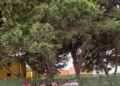 81cecb50 f800 4332 bca2 e4c832ac3238 El Club de Petanca Estopy Melilla organiza una yincana en Rostrogordo para inculcar los juegos tradicionales