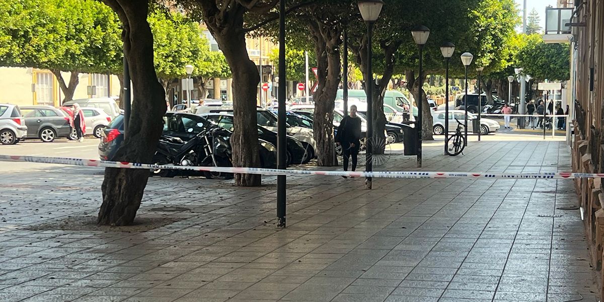 Abeja Un enjambre obliga a cerrar la calle Carlos Ramírez de Arellano
