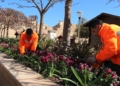 'Melilla en flor', el gran trabajo tras un proyecto de largo recorrido