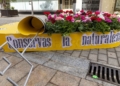 Flor 11 Treinta y seis escenas florales adornan la Ciudad Autónoma