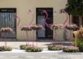 Flor 15 Treinta y seis escenas florales adornan la Ciudad Autónoma
