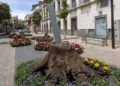 Flor 4 Treinta y seis escenas florales adornan la Ciudad Autónoma