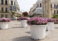 Flor 9 Treinta y seis escenas florales adornan la Ciudad Autónoma