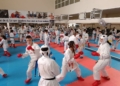 Imagen de WhatsApp 2024 04 20 a las 16.39.25 4831b0f6 El karate melillense realiza un curso de Shiai Kumite