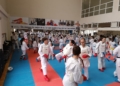 Imagen de WhatsApp 2024 04 20 a las 16.39.27 26fb9605 El karate melillense realiza un curso de Shiai Kumite