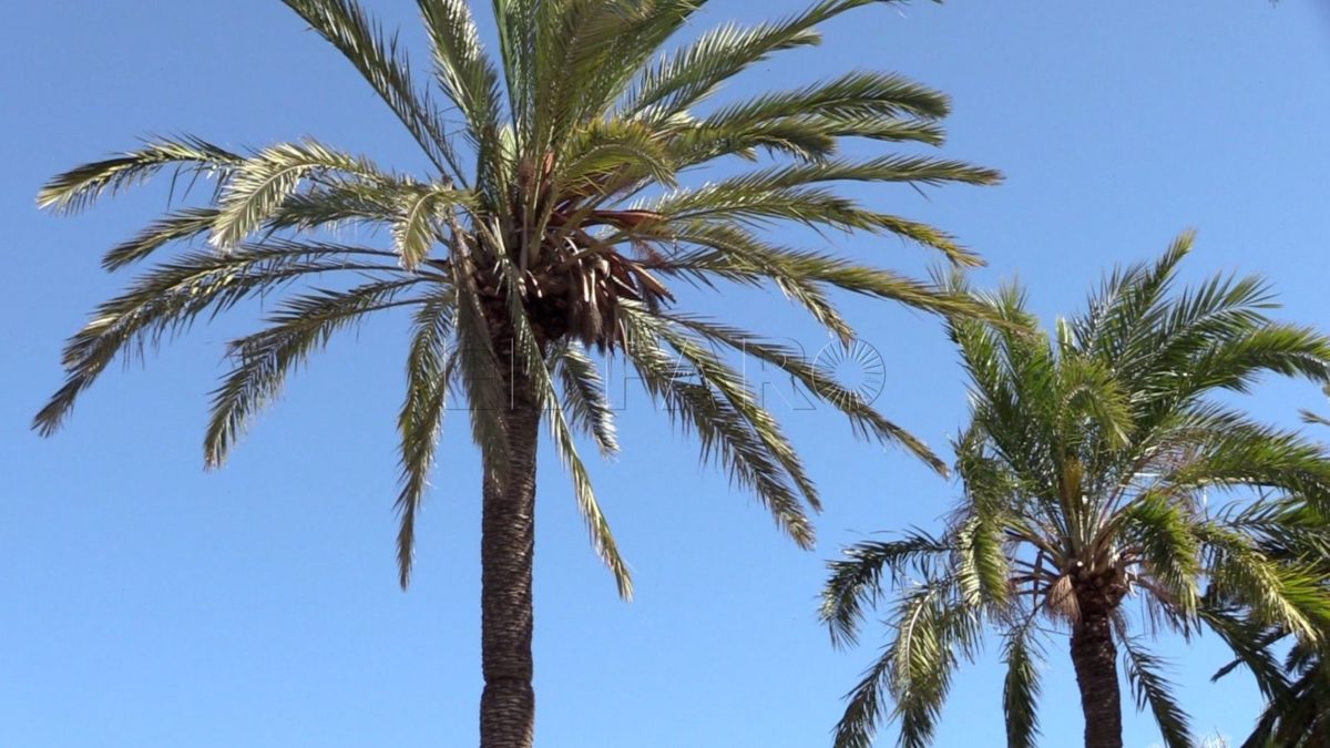 Tiempo 17 e1713255074284 Previsión del tiempo en Melilla: Miércoles 17 de abril