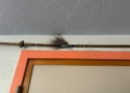c807e91e 964c 4d2b 9e61 c64d59d95679 Instalaciones en consonancia con la crisis sanitaria