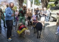 22D 9 Melilla acoge la X Carrera Africana, con record de inscritos