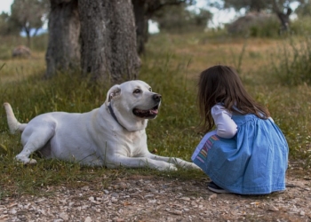 6 1 Las mascotas contra el bullying