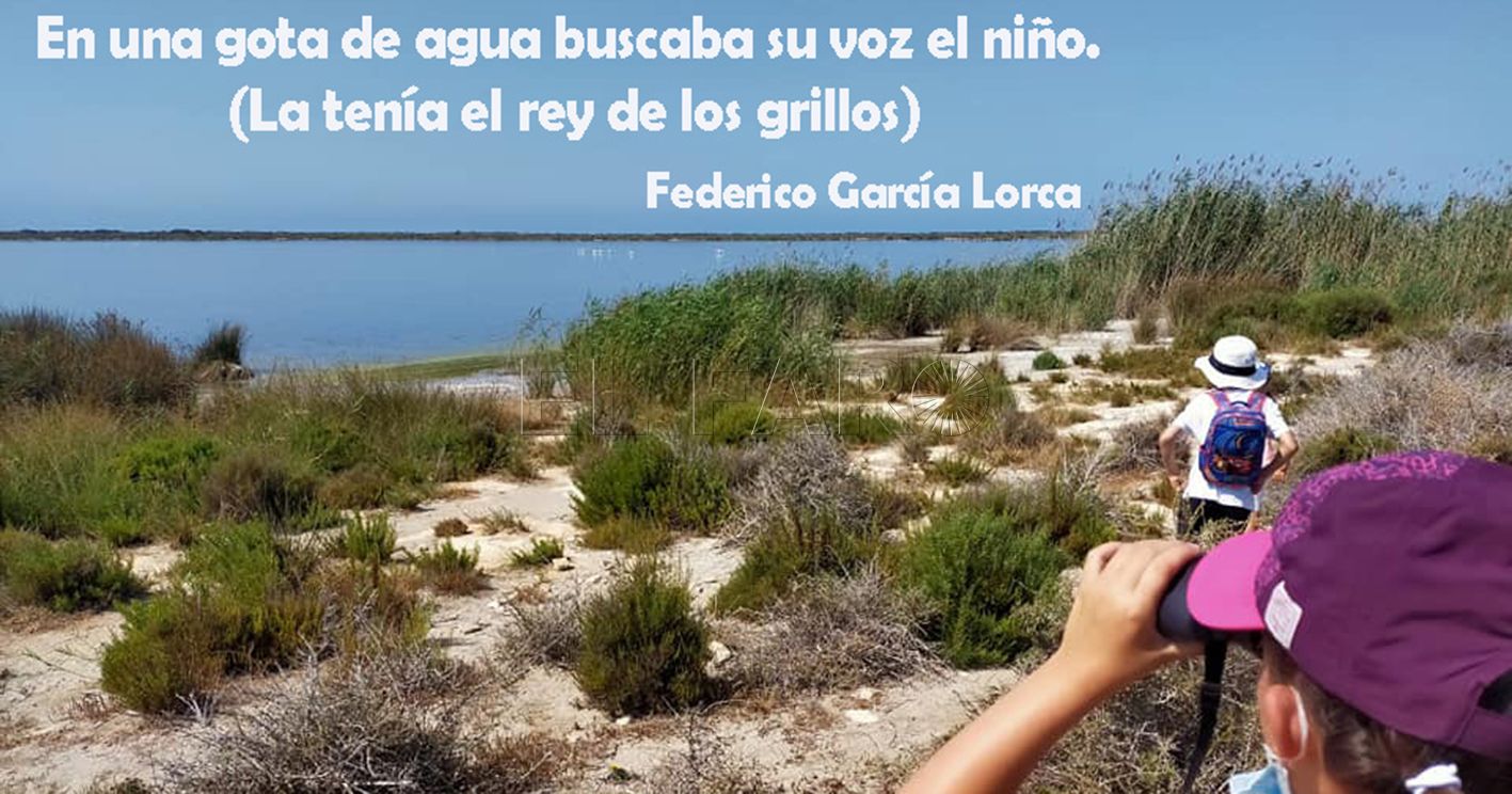 La Voz de un nino. Moises Palmero recorte Naturaleza, familia y la voz de un niño