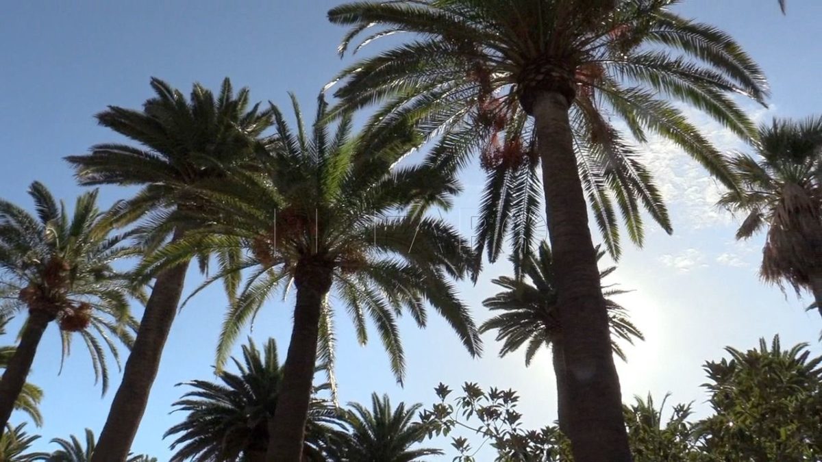 Tiempo 4 e1714774845890 Previsión del tiempo en Melilla: Sábado 4 de mayo