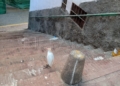 WhatsApp Image 2024 05 01 at 20.21.21 1 Dos niños rescatan a una garza extraviada en Ataque Seco