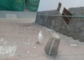 WhatsApp Image 2024 05 01 at 20.21.21 Dos niños rescatan a una garza extraviada en Ataque Seco