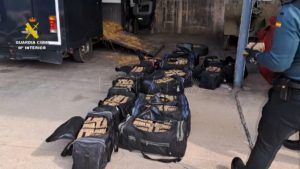 cc443bdf 009c 4c07 915a 375061928428 Utilizaban vehículos de transporte de caballos para traficar con drogas de Melilla a Europa