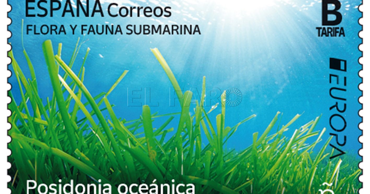 sello correos posidonia recorte Correos participa en el concurso ‘El diseño filatélico más bonito de la serie ‘Europa 2024'' con el sello dedicado a la posidonia oceánica