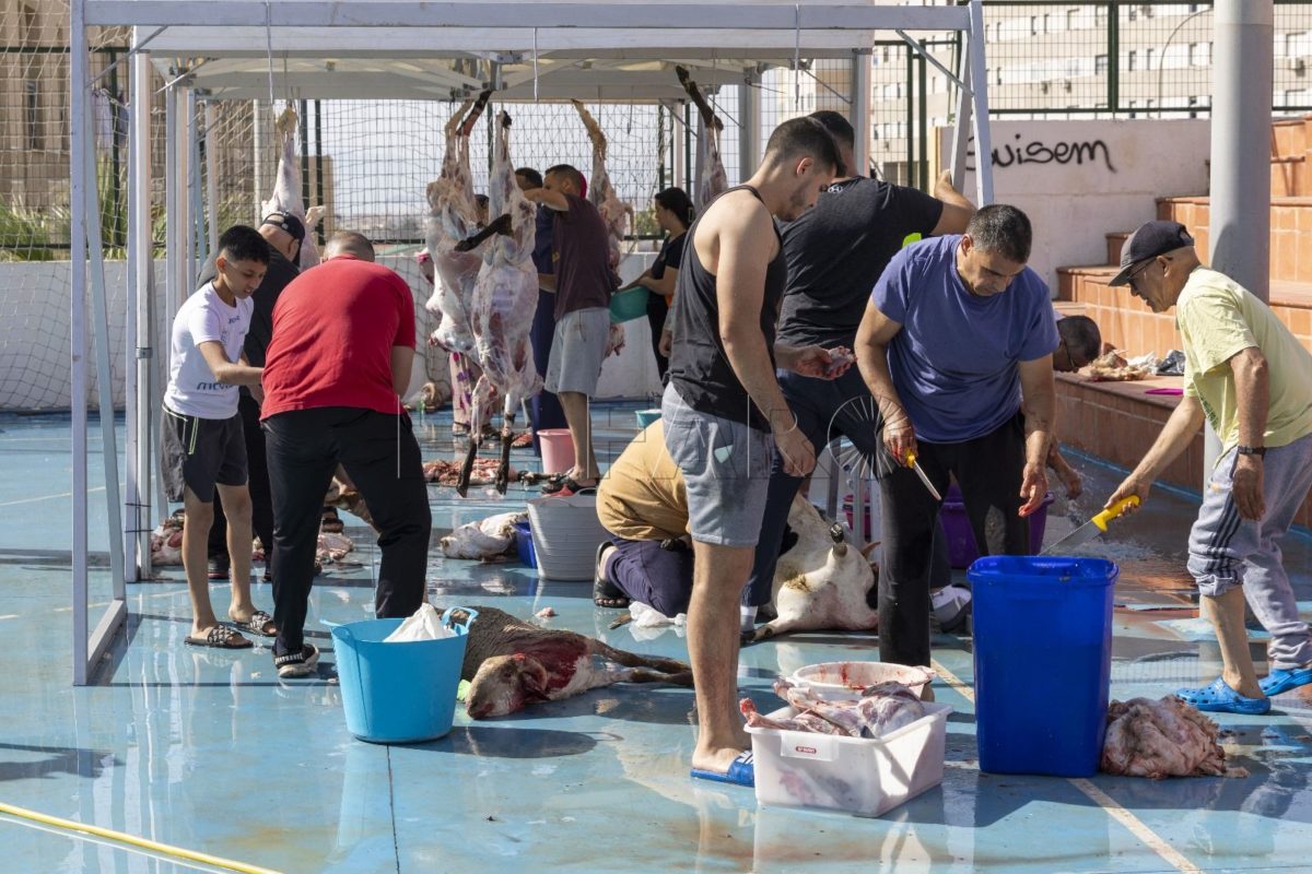 0aa0b38c 1294 48d3 9ce2 f84ca23d5cd0 e1718627144540 Los puntos de sacrificio se llenan de vecinos, siguiendo la tradición por el Eid al Adha
