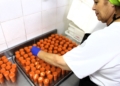 2. Preparacion de los salmorejos Senior ofrecerá una gran comida de San Juan en el Centro Polivalente para Personas Mayores del Imserso