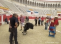 2065ba9f 6092 4273 9333 abcd6dfee532 Semana plagada de visitas en la plaza de toros de Melilla