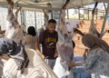 39f4a951 7947 4334 b22d fdff3da22fda Los puntos de sacrificio se llenan de vecinos, siguiendo la tradición por el Eid al Adha