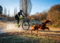 44444 José Felix Moreno y María Muñoz: “El deporte del  mushing es nuestra forma de vida”
