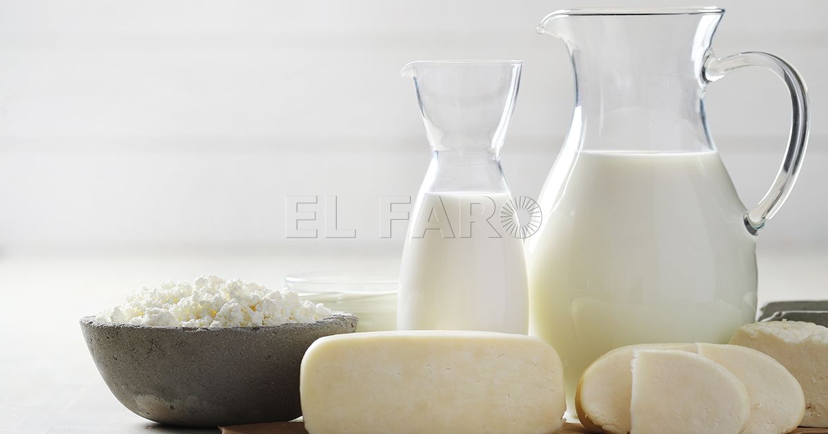 La importancia del calcio en nuestra salud