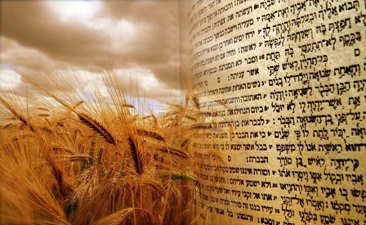 La comunidad hebrea de Melilla celebra su segunda festividad de peregrinación con el Shavuot