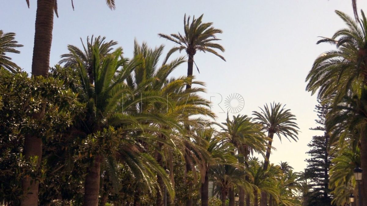 Tiempo 14 e1718278129971 Previsión del tiempo en Melilla: Viernes 14 de junio